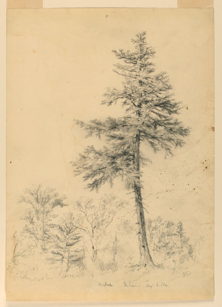 Badanie Hemlock, Gorham, New Hampshire autorstwa Daniel Huntington