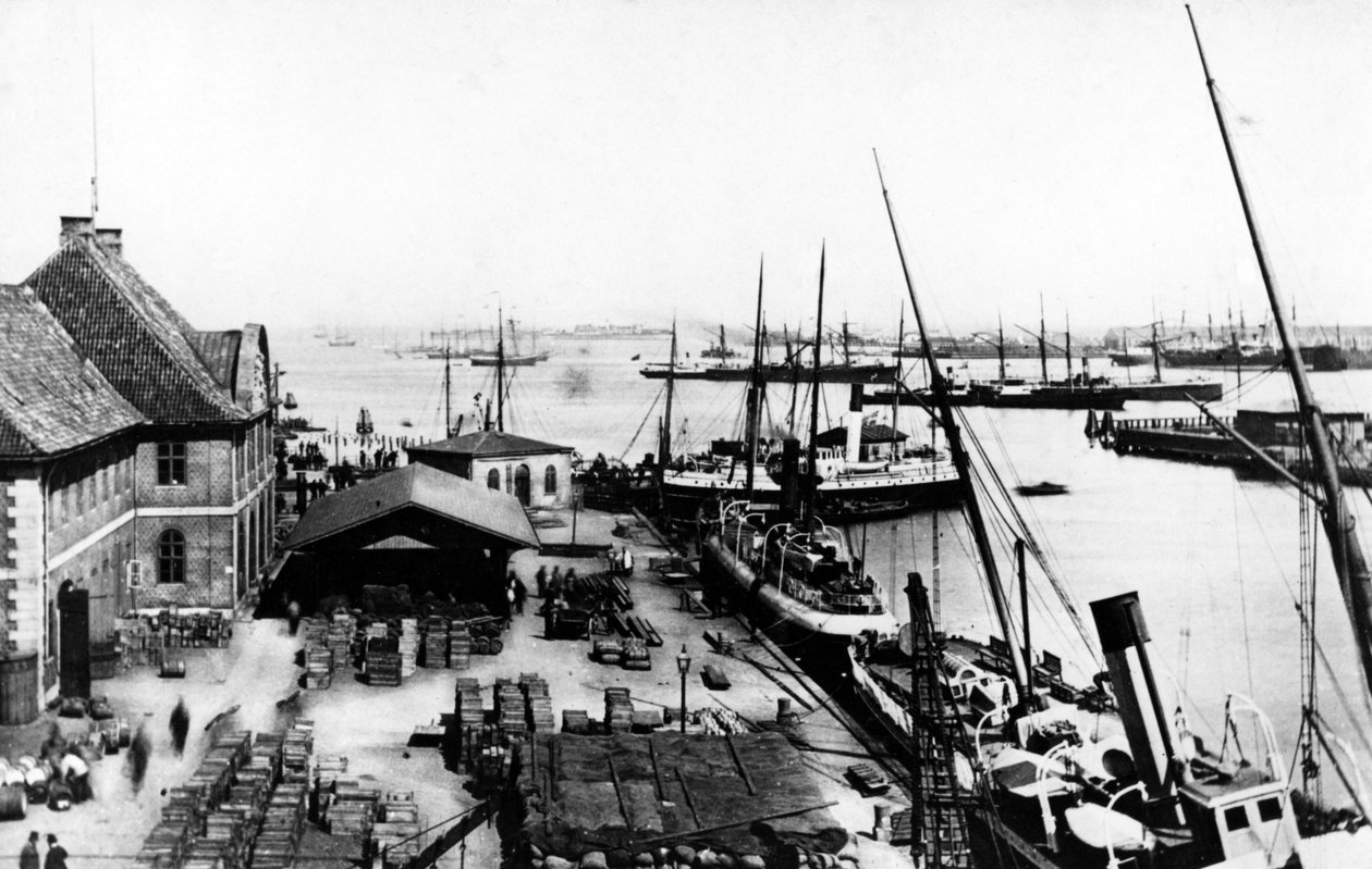 Port w Kopenhadze, ok.1880 autorstwa Danish Photographer