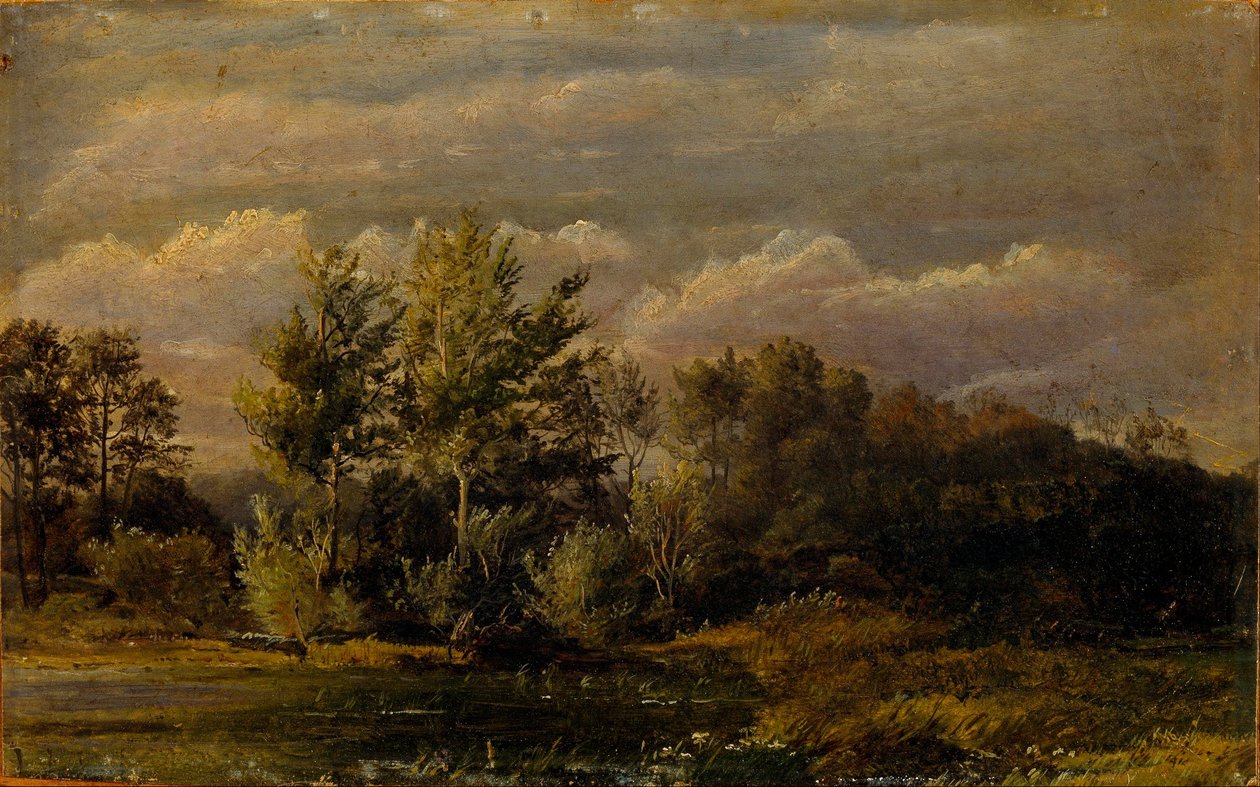 Leśne jezioro otoczone brzozami. Badanie. autorstwa Dankvart Dreyer