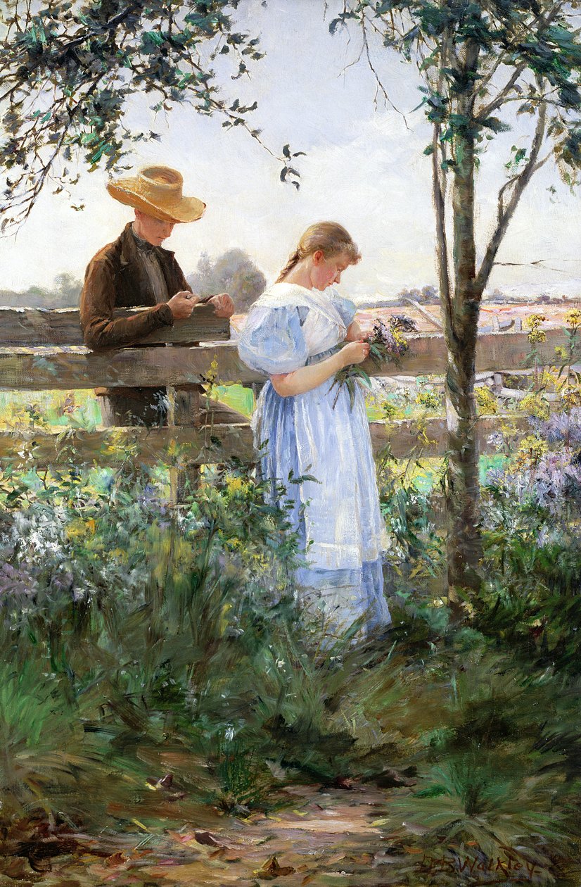 Romans wiejski autorstwa David B. Walkley