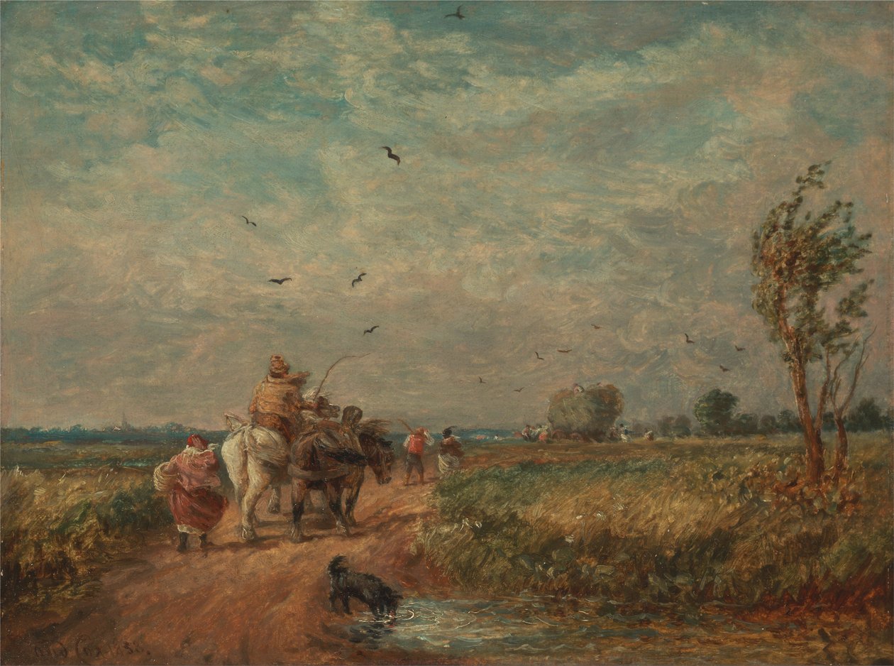 Idąc do Hayfield autorstwa David Cox