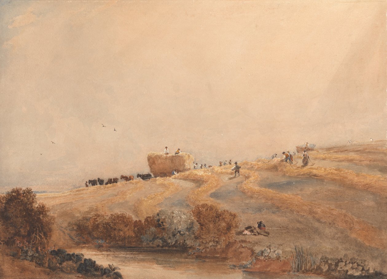 Sianokosy autorstwa David Cox