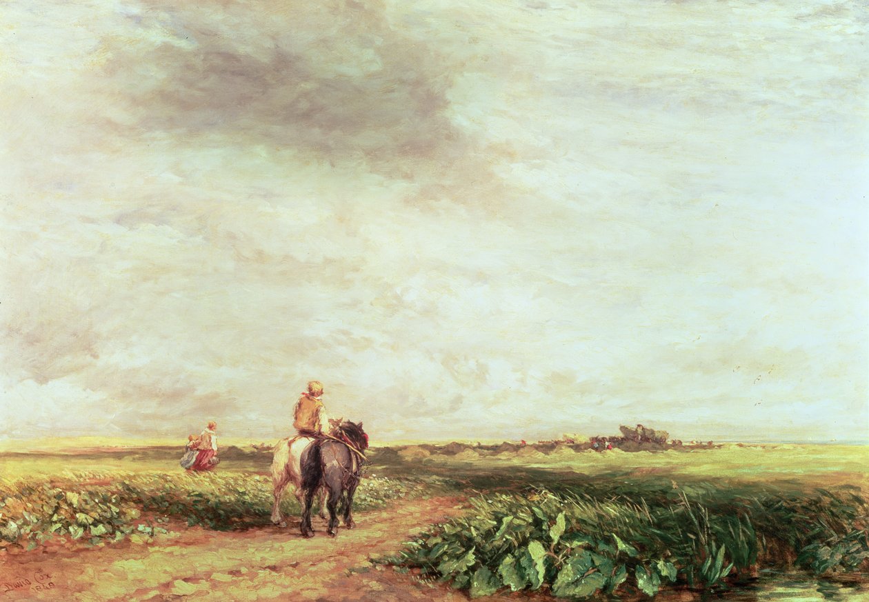Krajobraz autorstwa David Cox