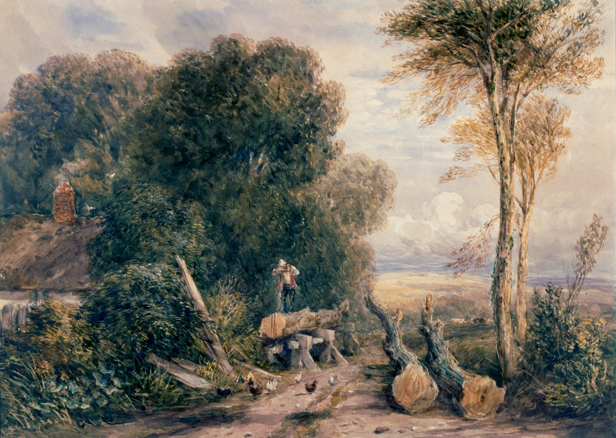 Piła autorstwa David Cox