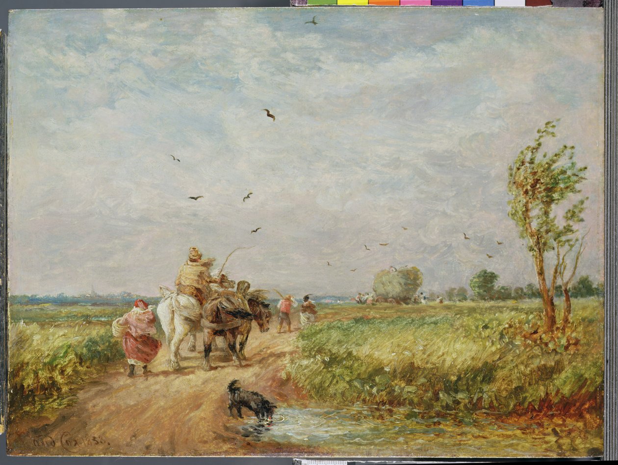 Idąc do Hayfield autorstwa David Cox