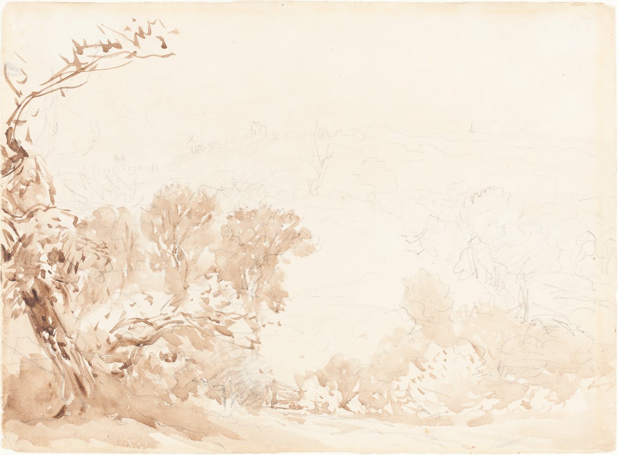 Wzgórze i drzewa autorstwa David Cox