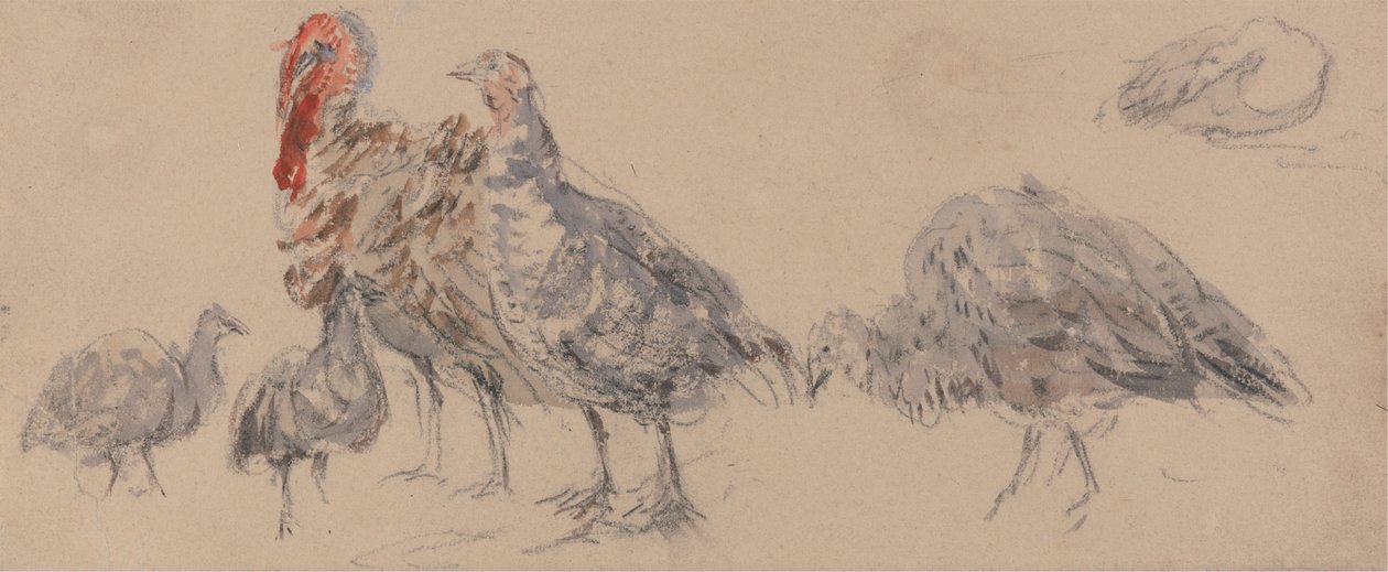 polish autorstwa David Cox