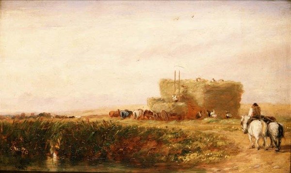 Hayfield autorstwa David Cox