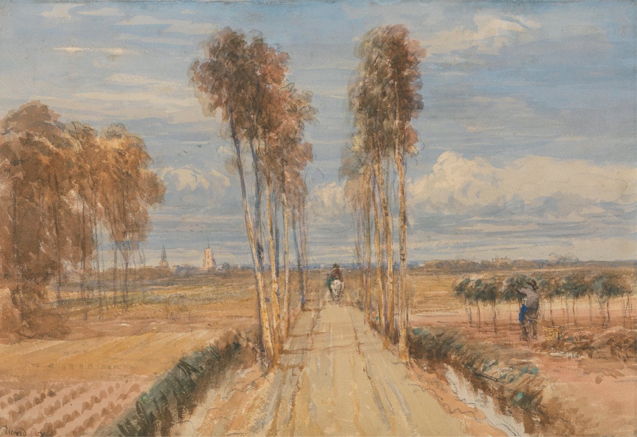 Topola Avenue, za Hobbema autorstwa David Cox