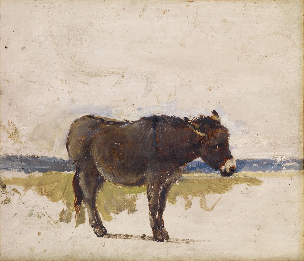 Studium osła, 1841-1843. autorstwa David Cox the elder