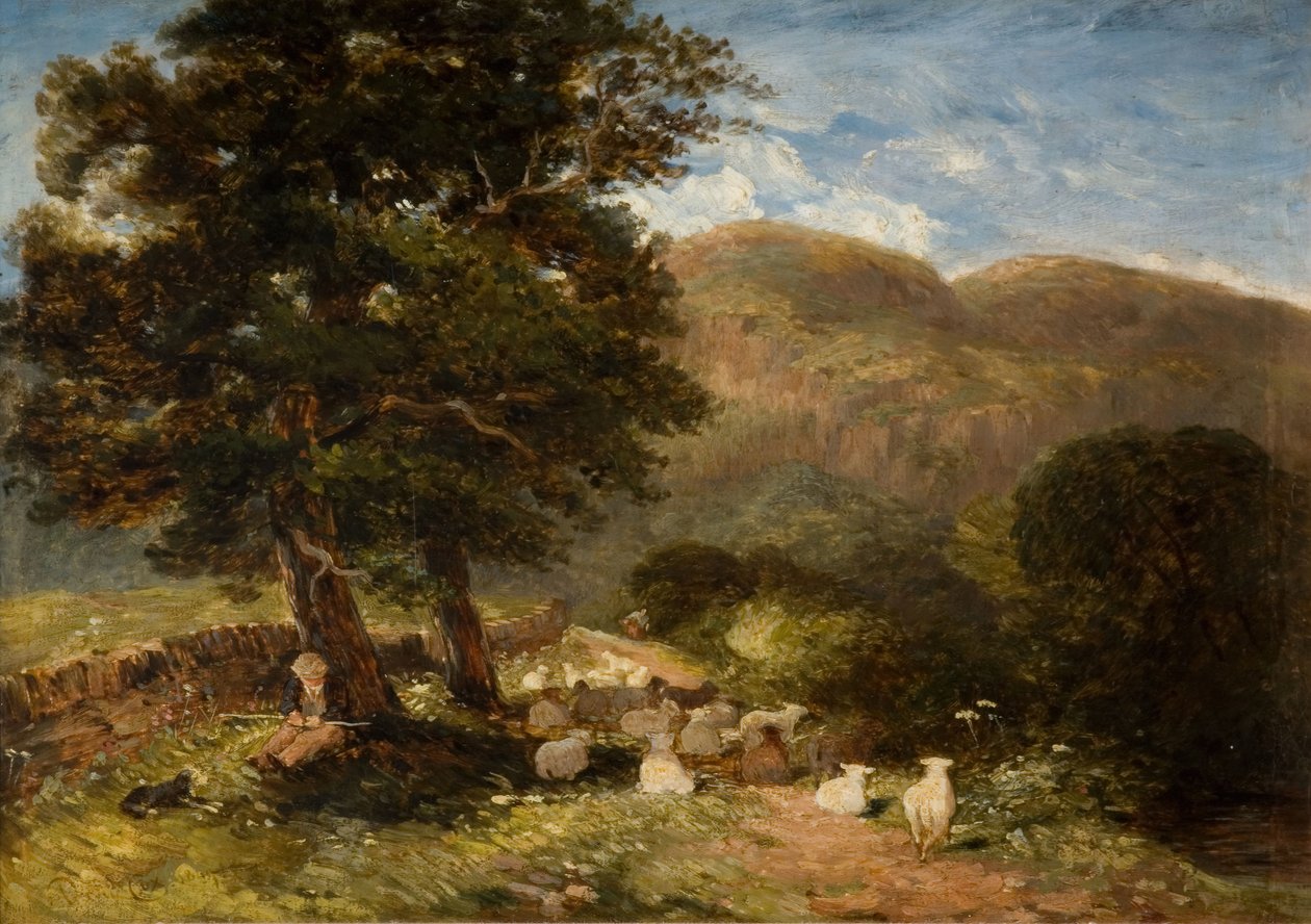 Pielęgnowanie owiec, Bettws-y-Coed, 1849. autorstwa David Cox the elder