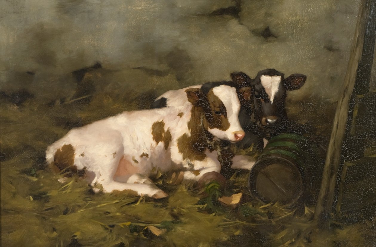 Cielęta, ok. 1900 (olej na płótnie) autorstwa David Gauld