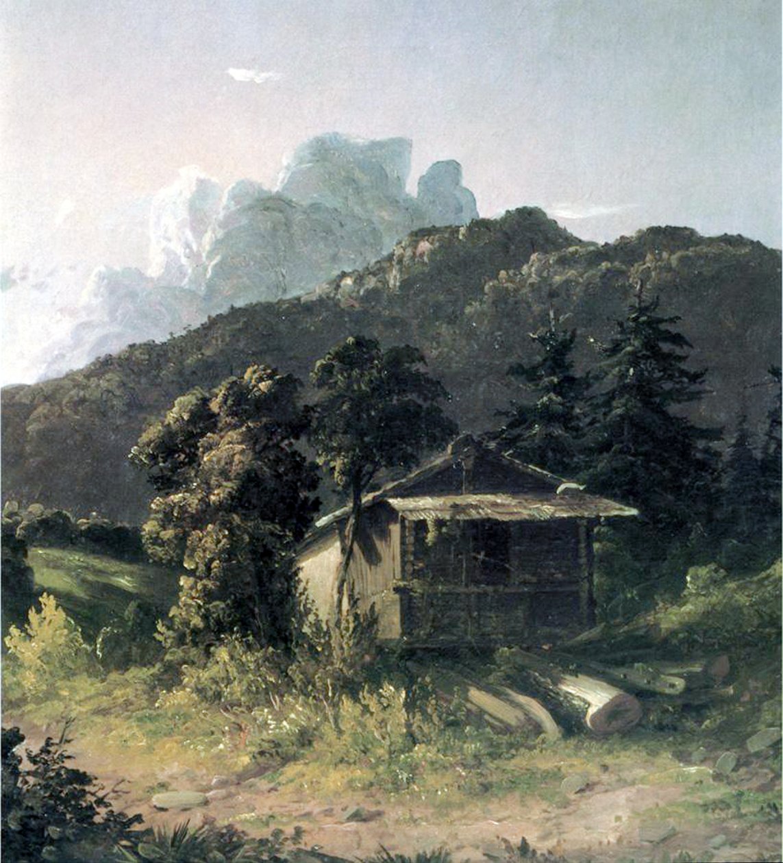Dom w Adirondacks, 1851 autorstwa David Johnson