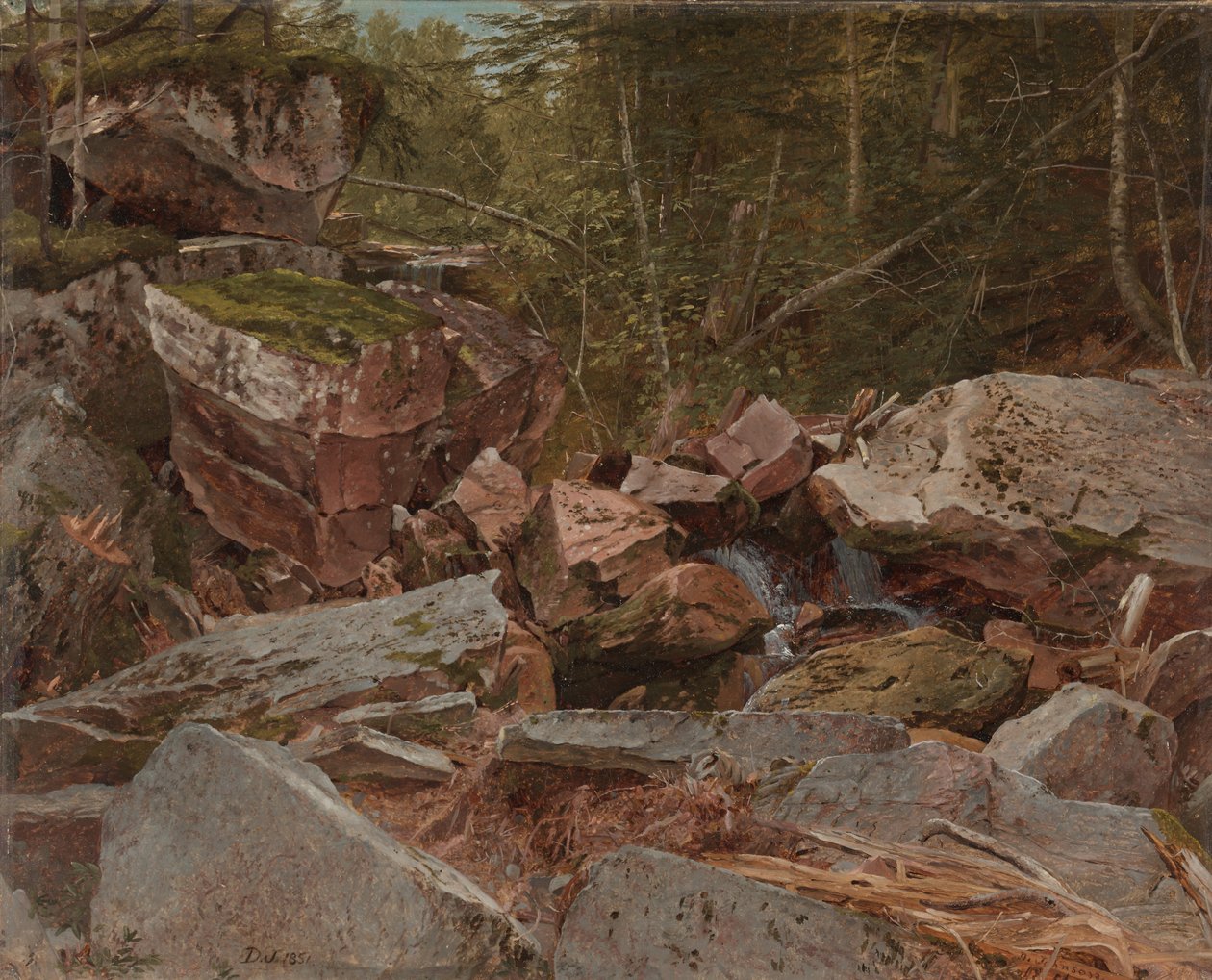 Studium, North Conway, New Hampshire, 1851 autorstwa David Johnson