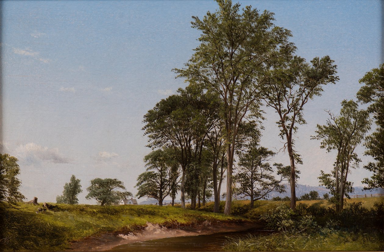 Młode Wiązy autorstwa David Johnson