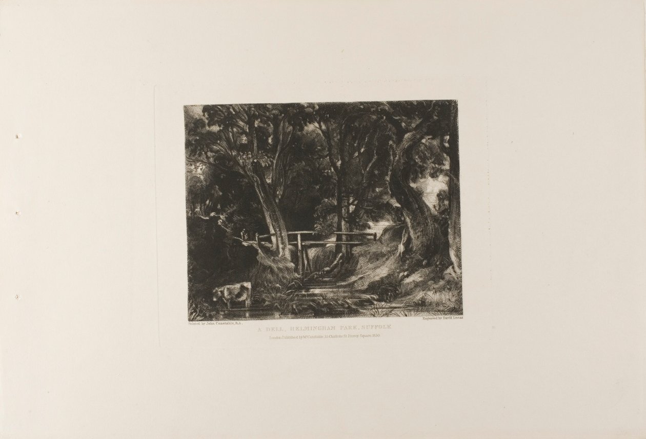 A Dell, Helmingham Park, Suffolk autorstwa David Lucas