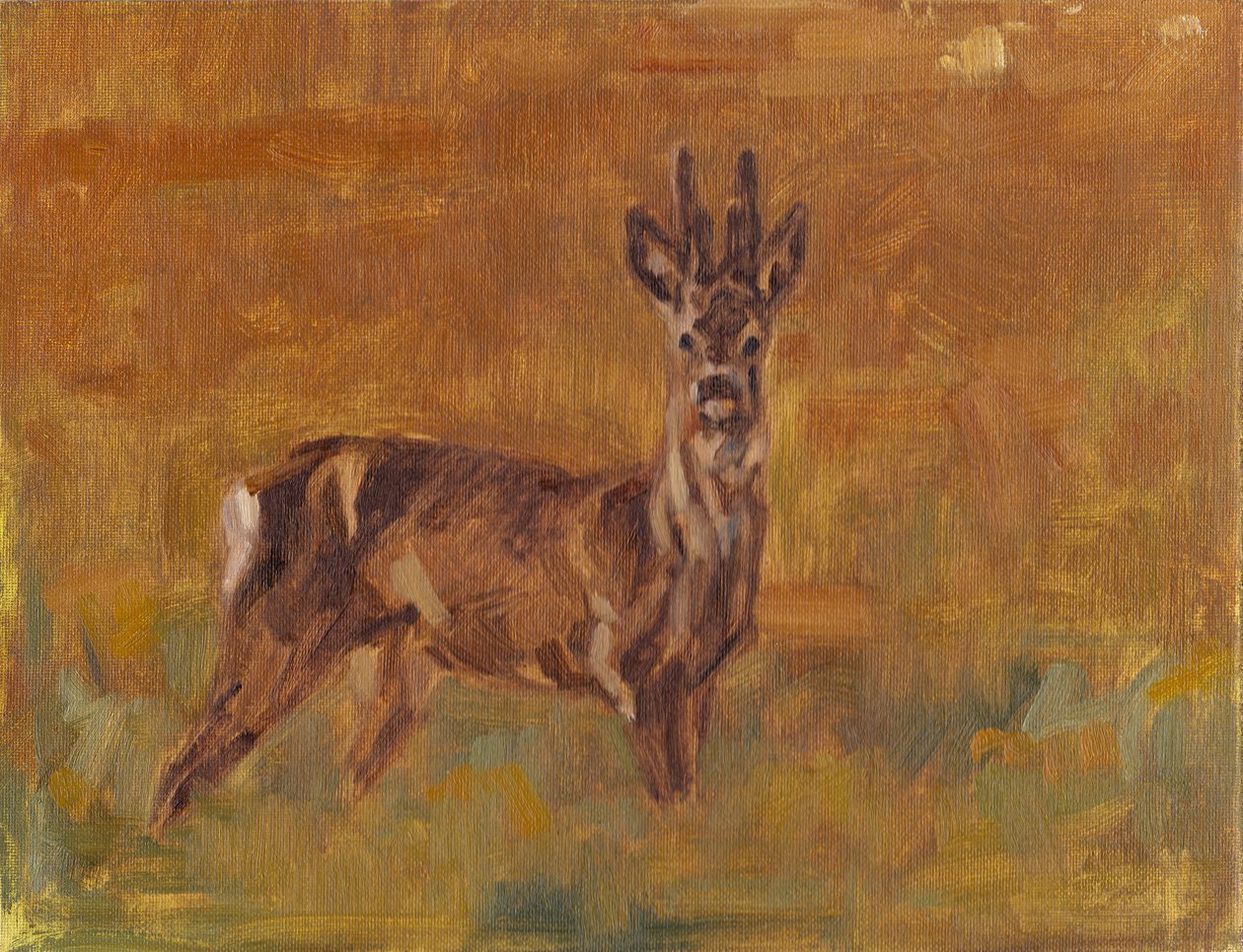 Roe Buck, 2021 autorstwa David Mayer