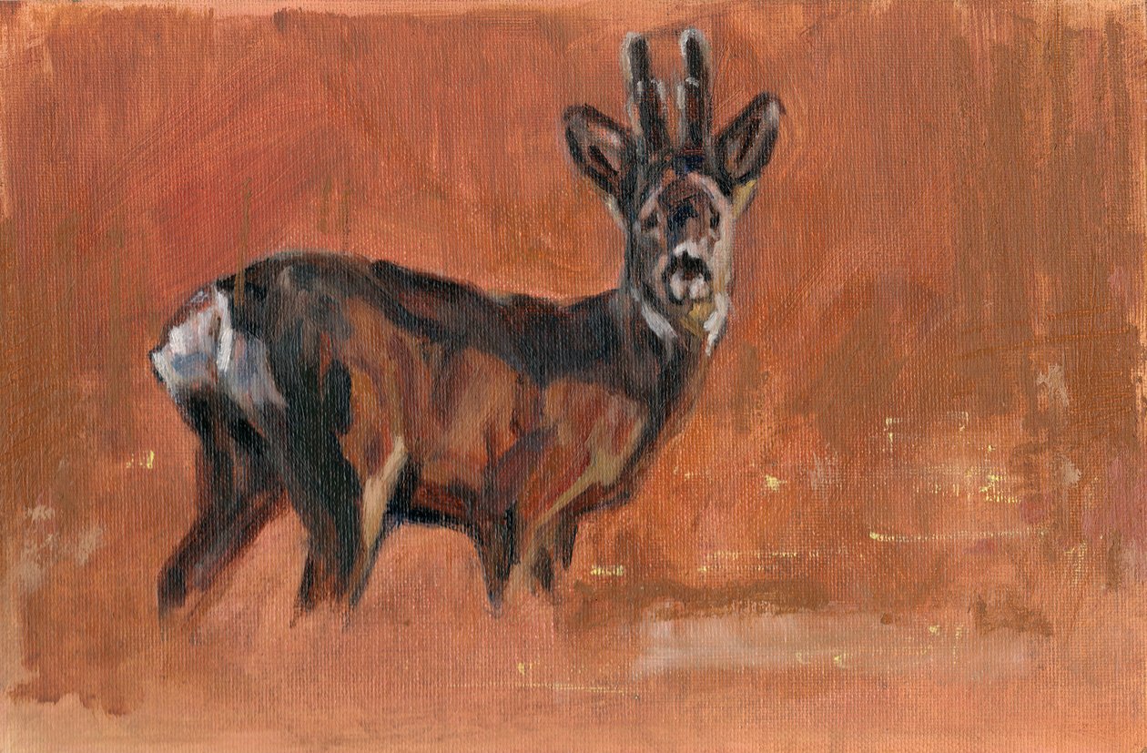 Roe Buck, 2021 autorstwa David Mayer