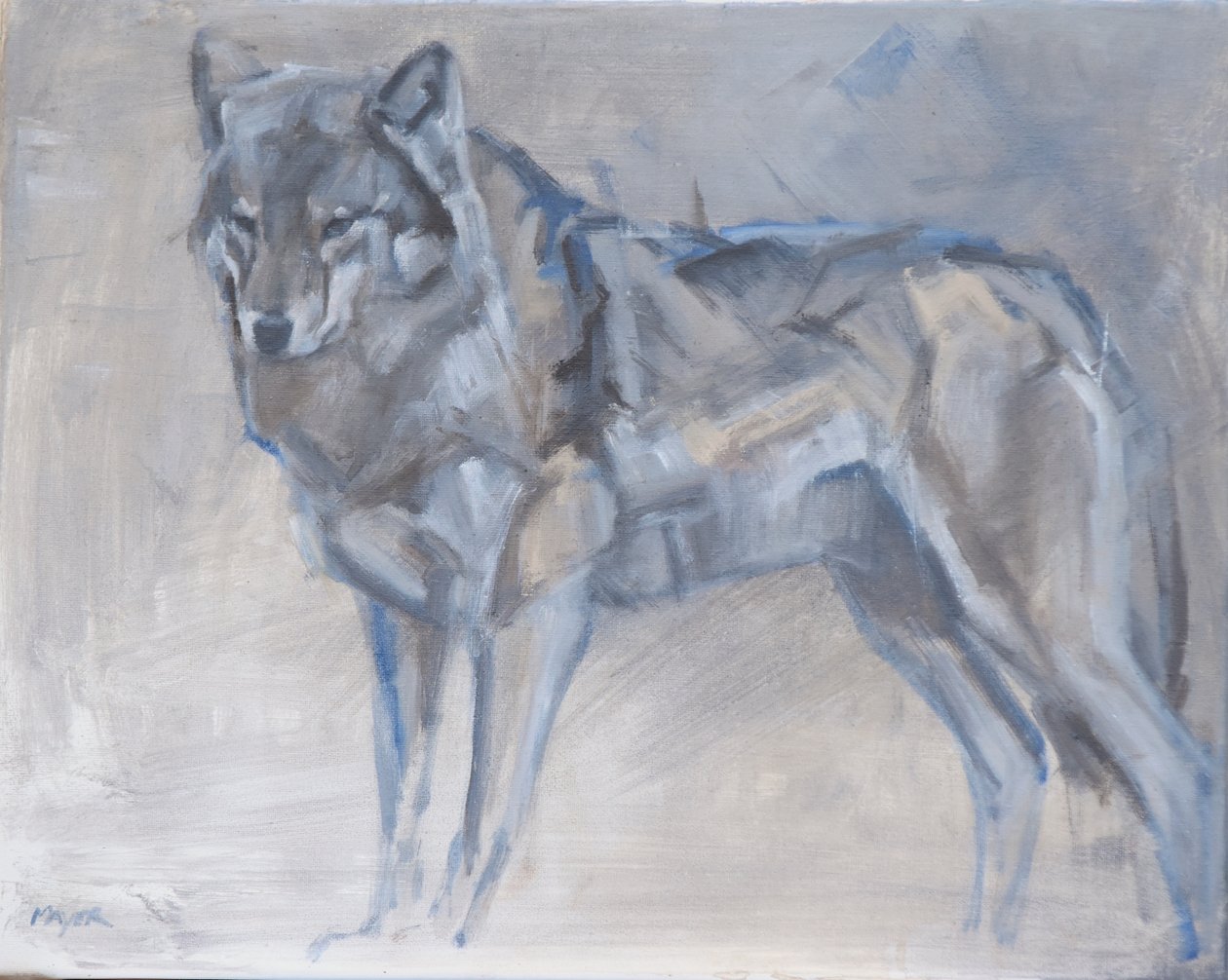 Wolf 1, 2023 (olej na płótnie) autorstwa David Mayer