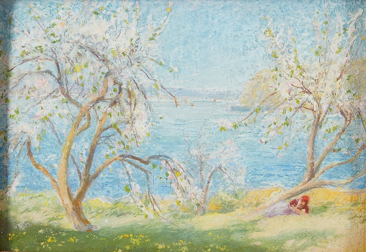 Spring Sunshine (olej na pokładzie) autorstwa David Murray