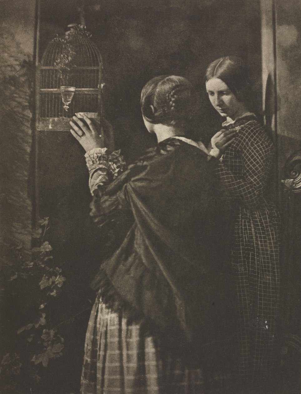 Praca kamery: klatka dla ptaków autorstwa David Octavius Hill