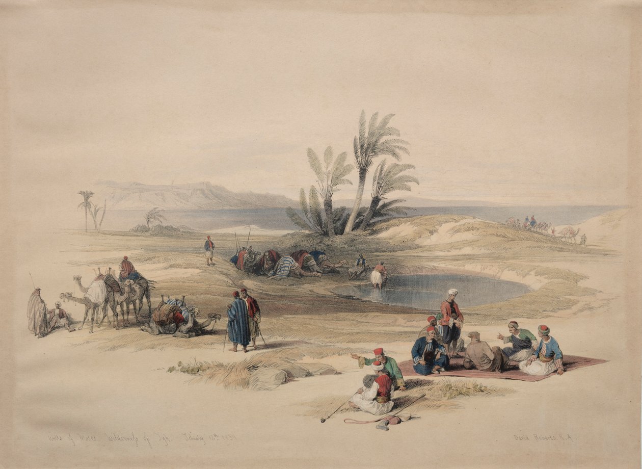Wells of Moses, Wilderness of Tyh, 1839. autorstwa David Roberts