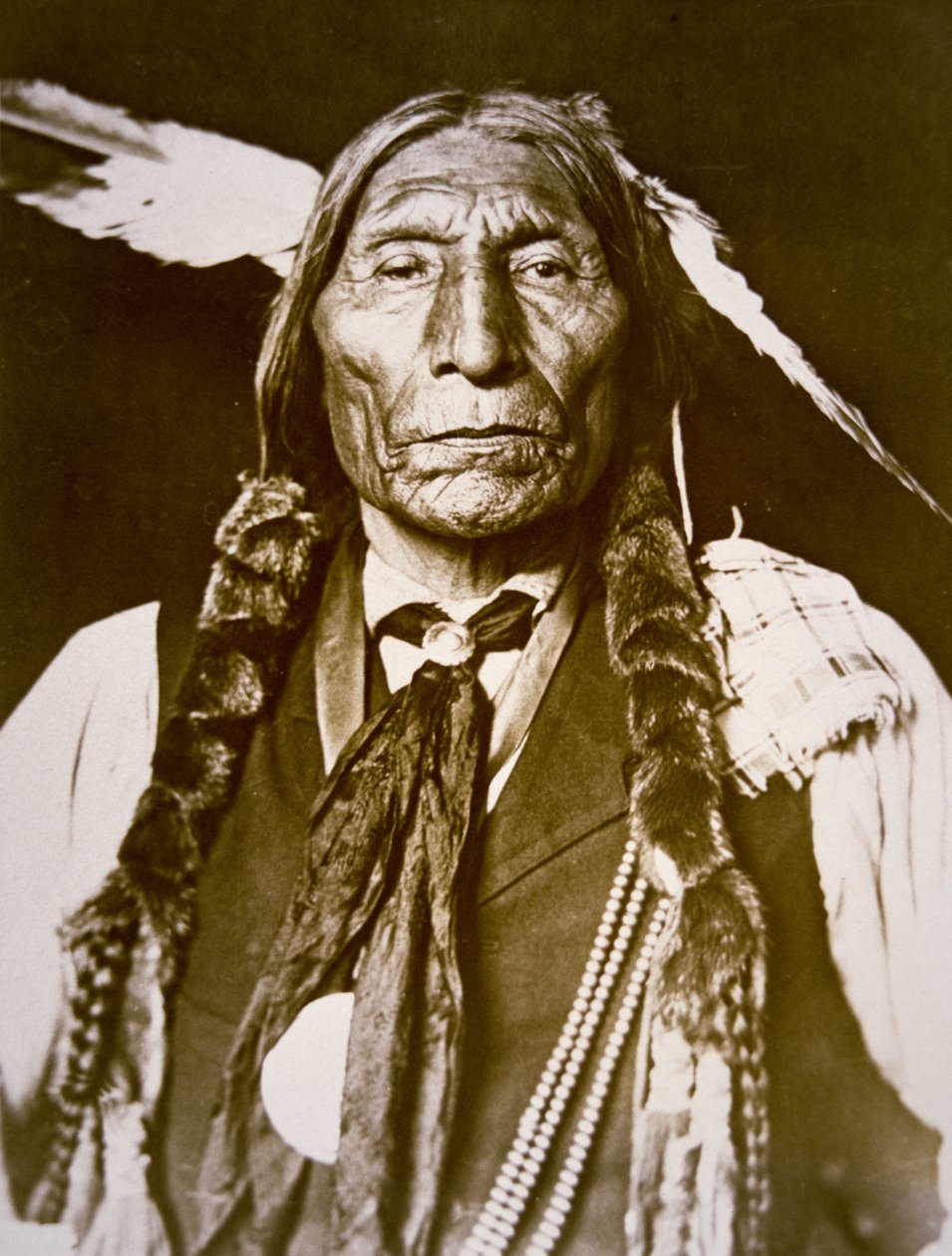 Szata wilka (ur.1841) 1909 (b/w zdjęcie) autorstwa DeLancey W. Gill