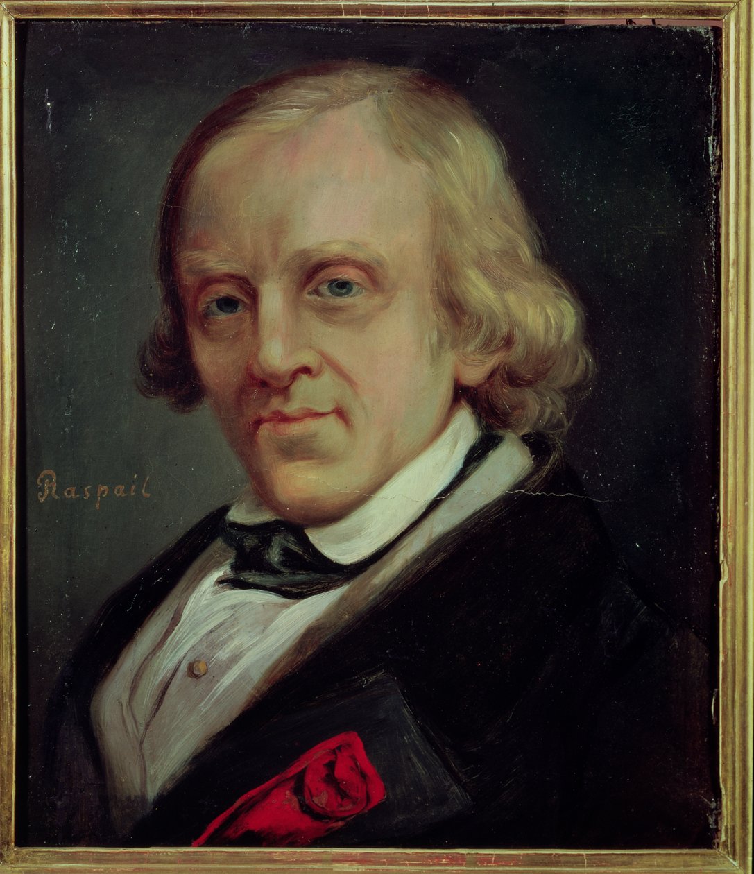 Francois Vincent Raspail (1794-1878) 1849 autorstwa Denis Bonnet