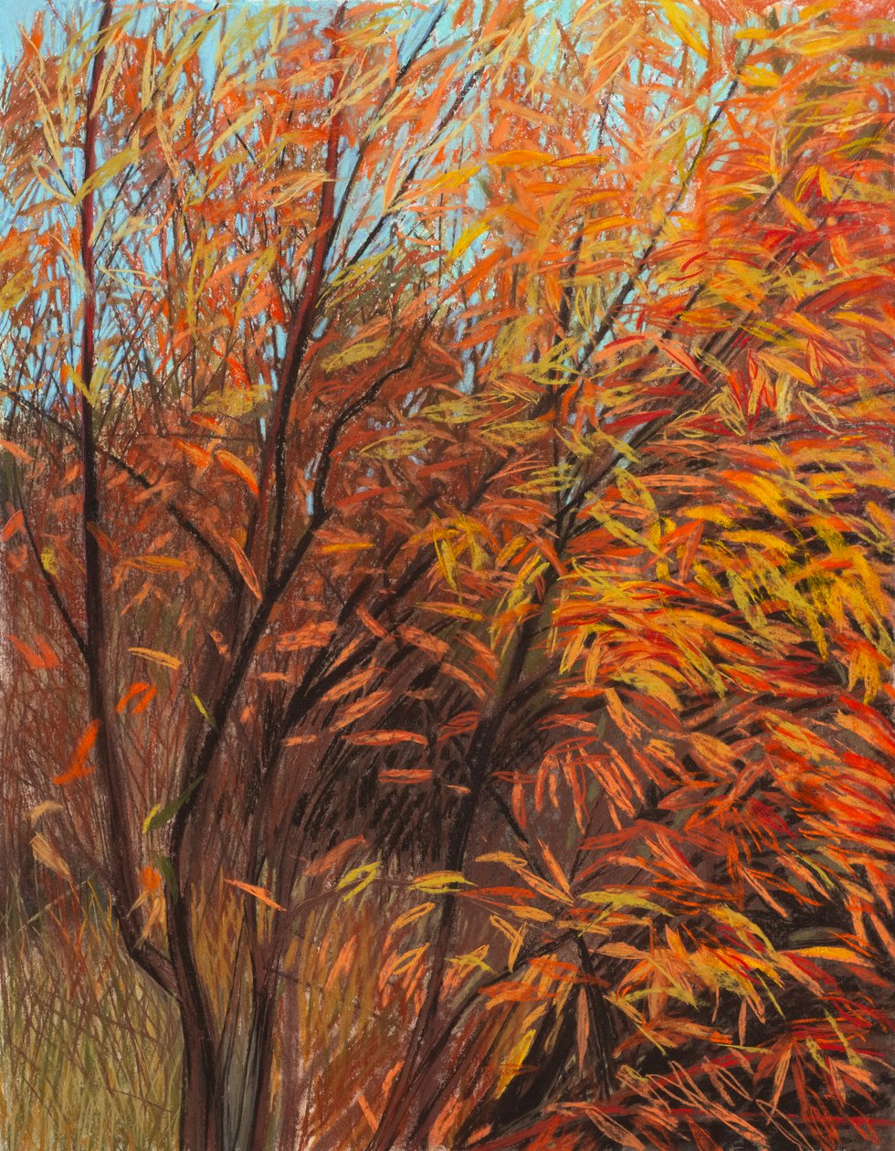 Czerwona wierzba 1a, 2021 (pastel na papierze) autorstwa Diana Jahns