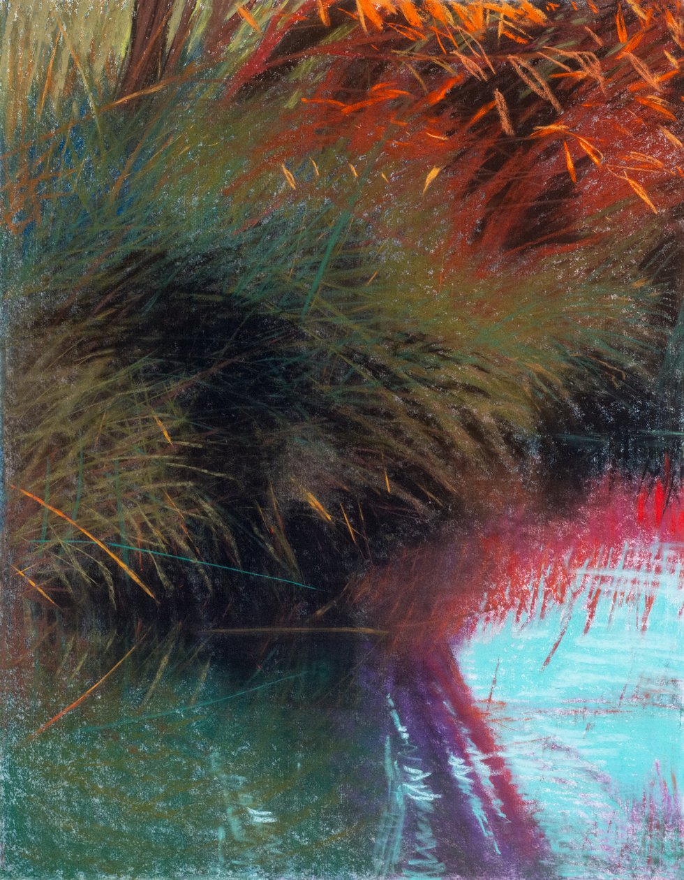 Czerwona wierzba 1b, 2021 (pastel na papierze) autorstwa Diana Jahns