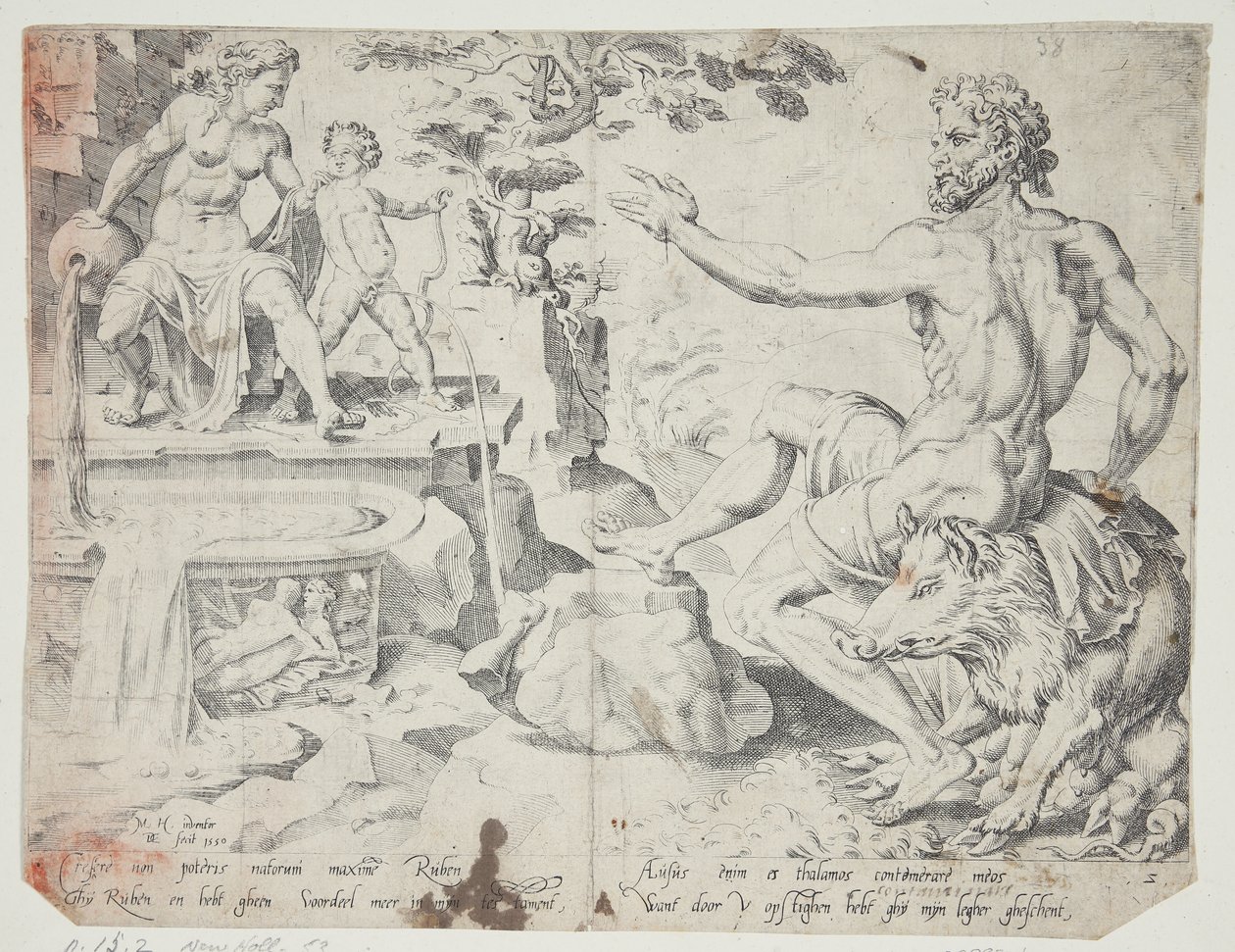 Ruben autorstwa Dirck Volckertsz. Coornhert