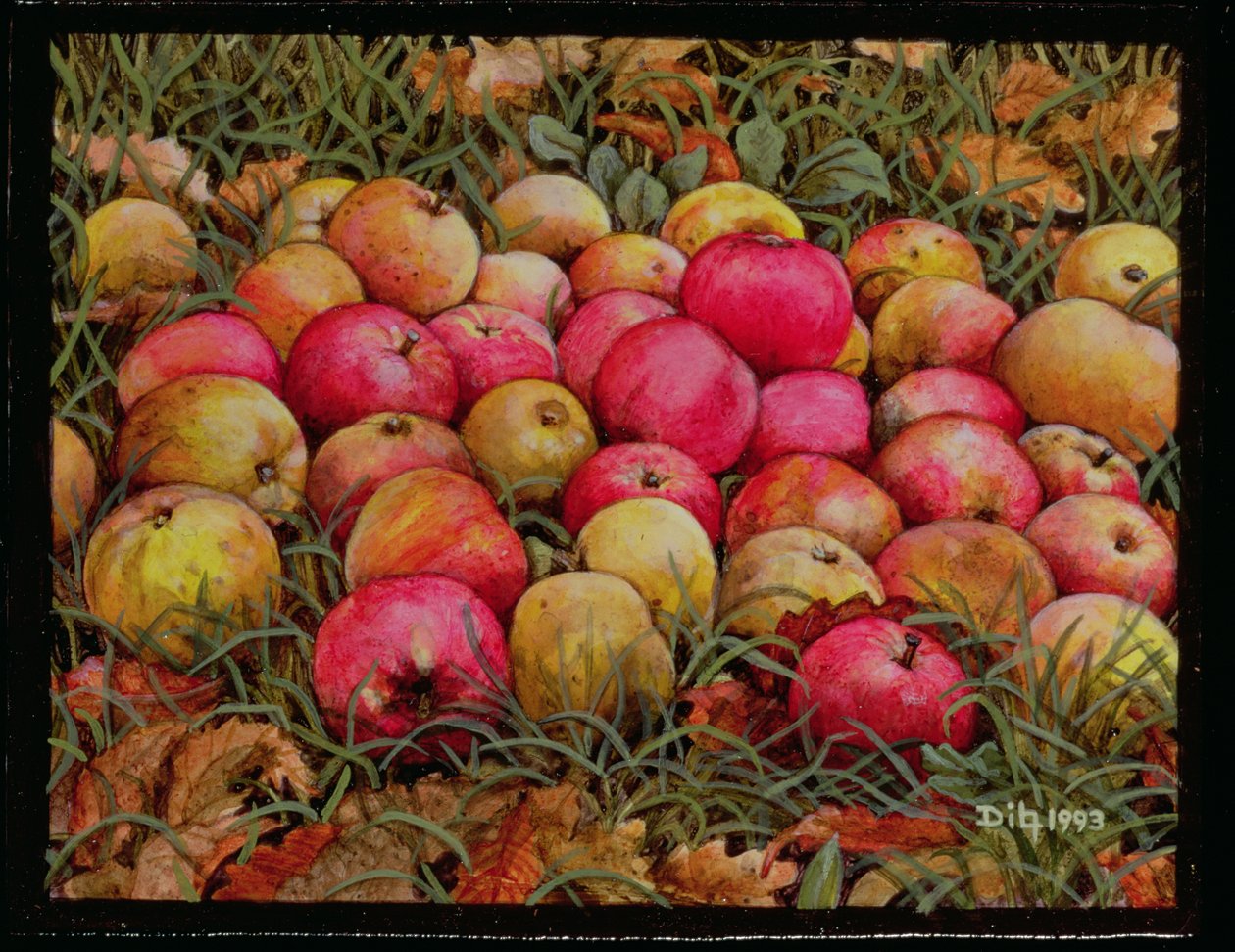 Jabłka Durnitzhofera, 1993 autorstwa Ditz
