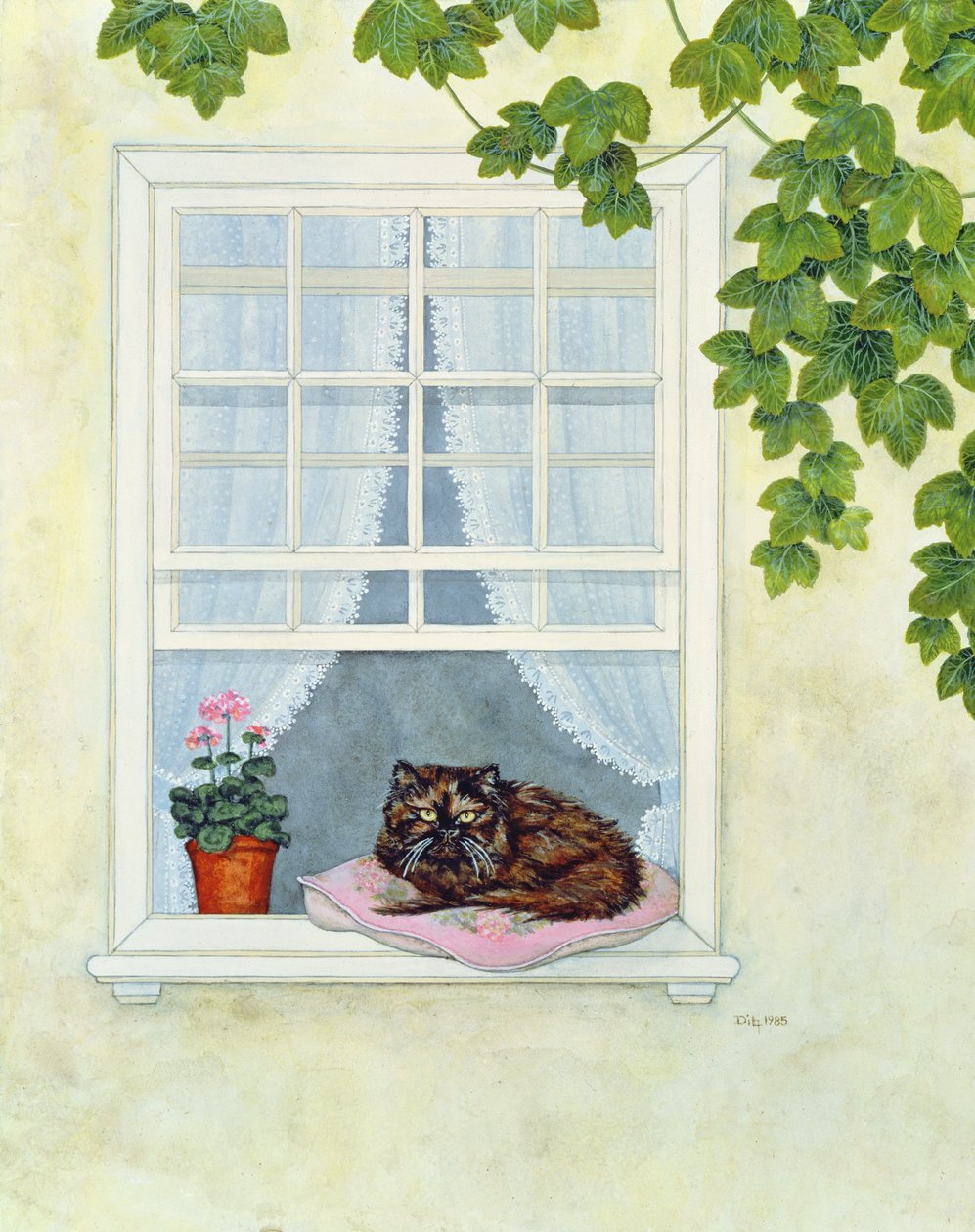 Pams Kot autorstwa Ditz