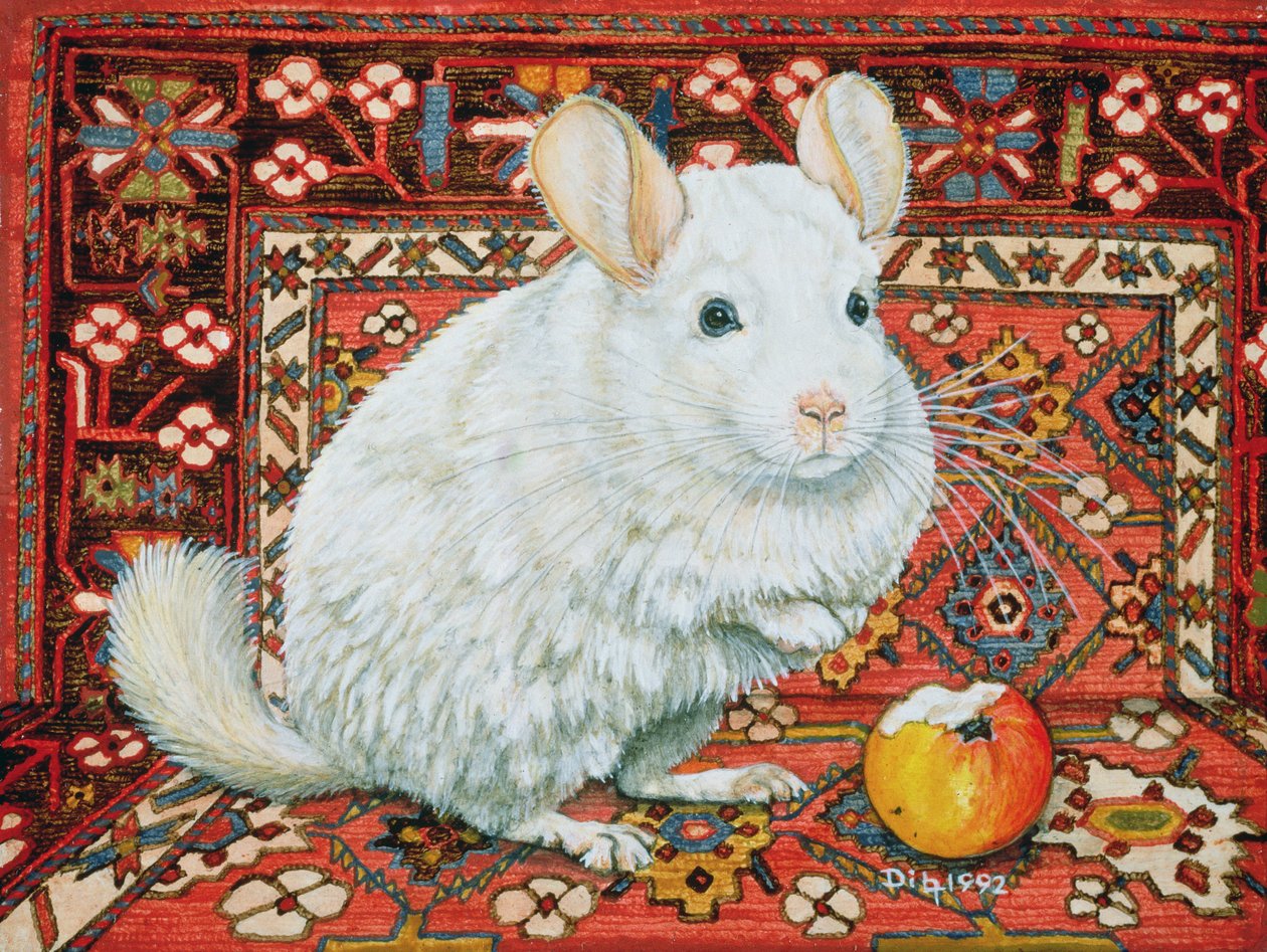 Dywan-Szynszyla, 1992 autorstwa Ditz