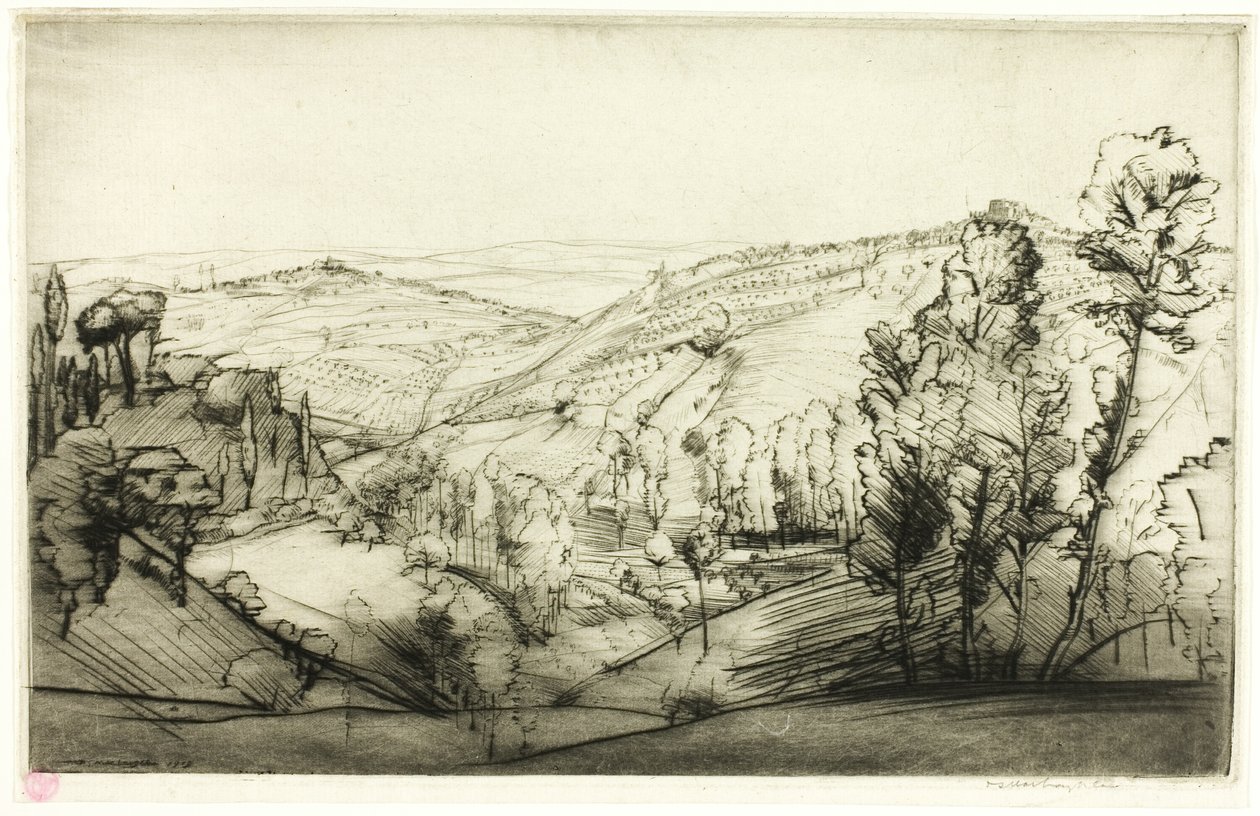 Pola San Gimignano autorstwa Donald Shaw MacLaughlan