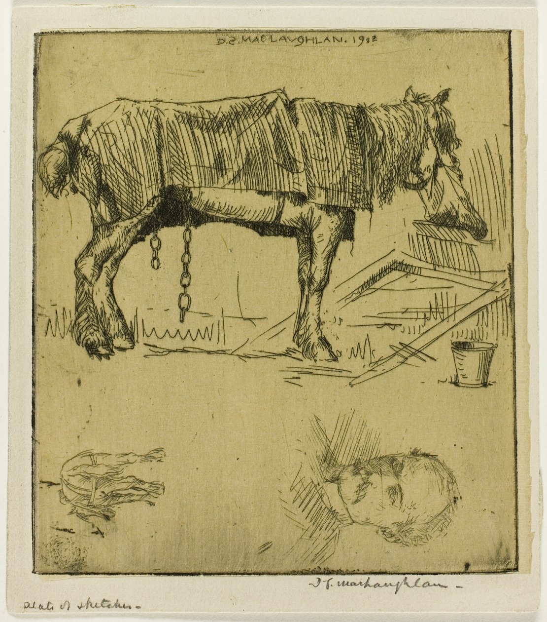 Płyta szkiców autorstwa Donald Shaw MacLaughlan