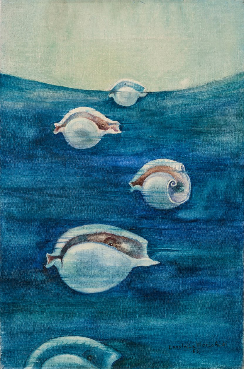Migracja autorstwa Donatella Merlo