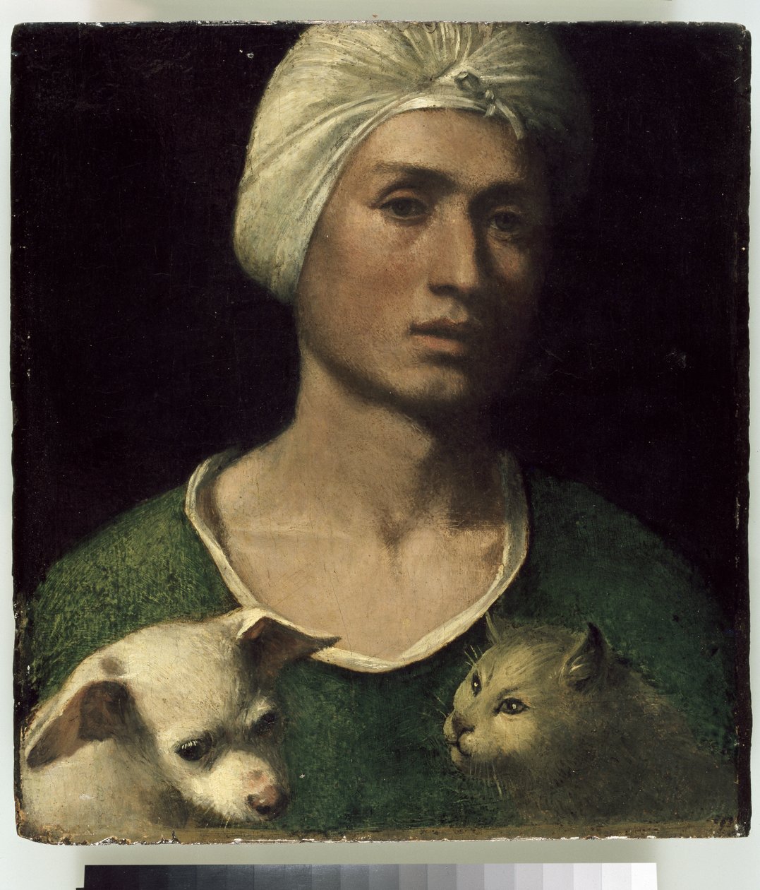 Portret młodego mężczyzny z psem i kotem autorstwa Dosso Dossi