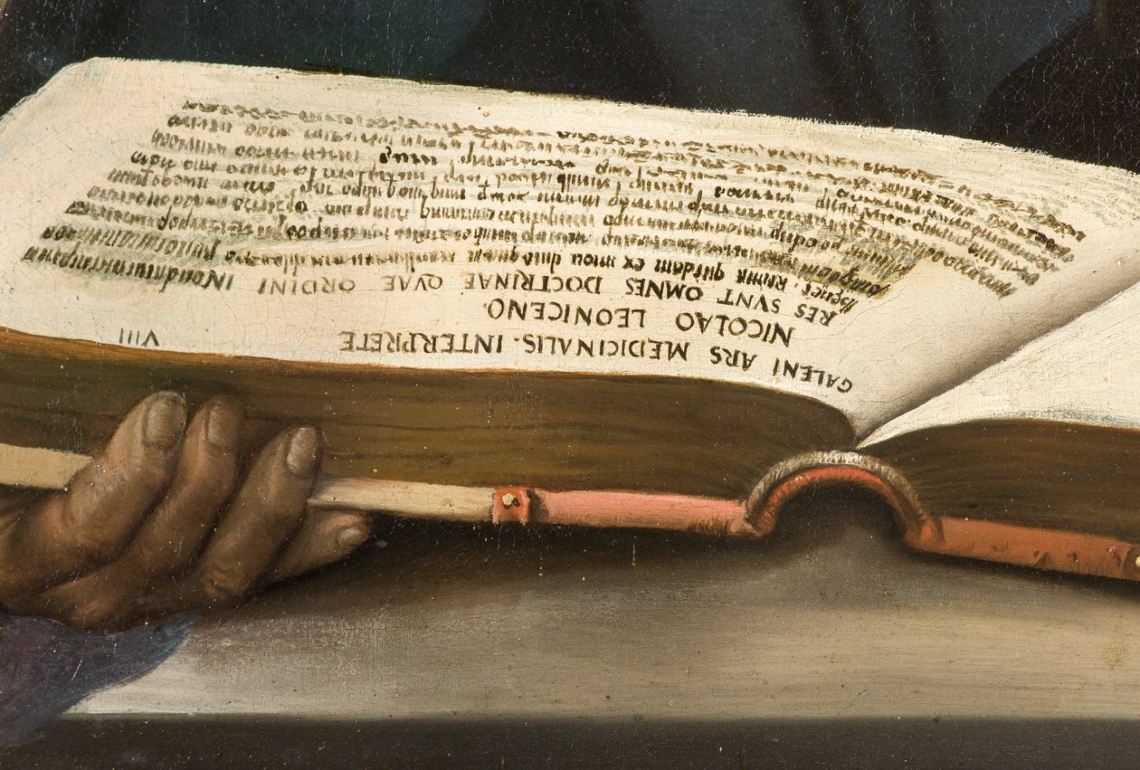 Niccolò Leoniceno, 1521 autorstwa Dosso Dossi
