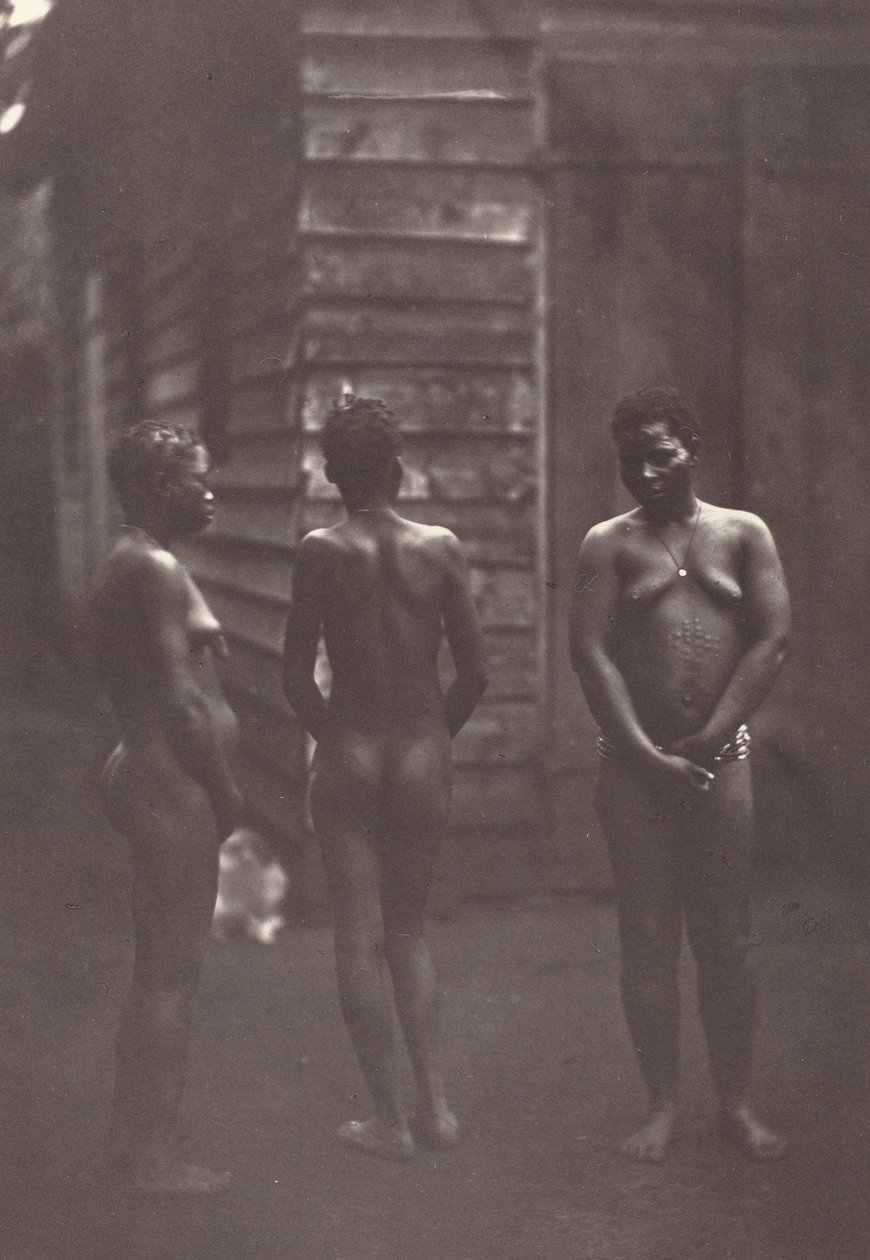 Tablica Trzy Madagaskary 30, 1863. autorstwa Désiré Charnay