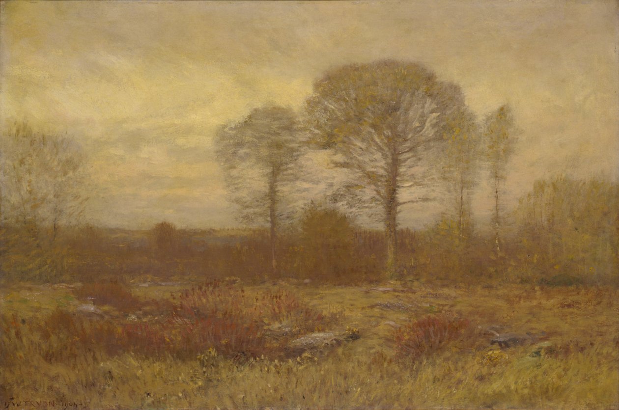 Listopad 1904-1905. autorstwa Dwight William Tryon