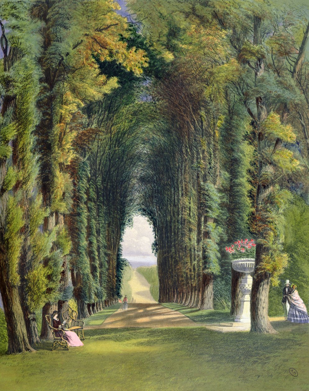 Vista in the Gardens of Teddesley, z "Gardens of England", opublikowane w 1857 r. autorstwa E. Adveno Brooke