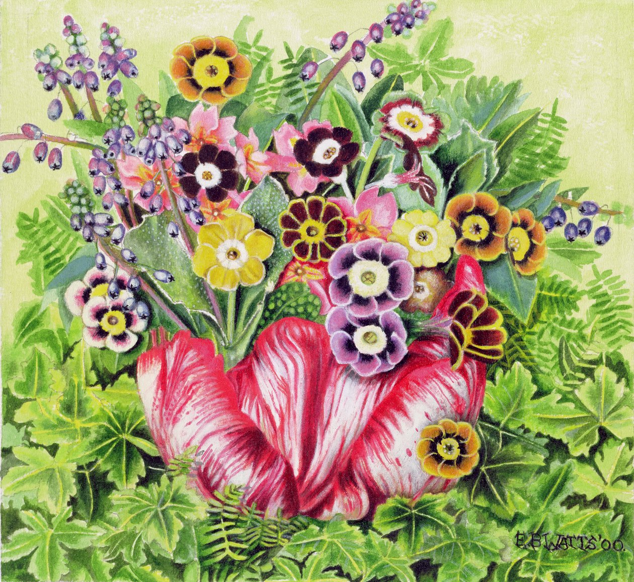 Auriculas, 2000 (akryl na płótnie) autorstwa E.B. Watts