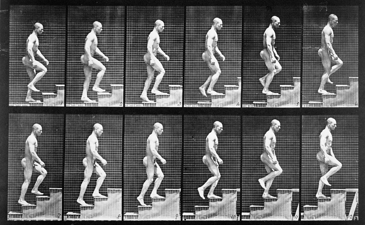 Mężczyzna wspinający się po schodach, z filmu „Lokomotywa zwierząt”, 1887 r. autorstwa Eadweard Muybridge