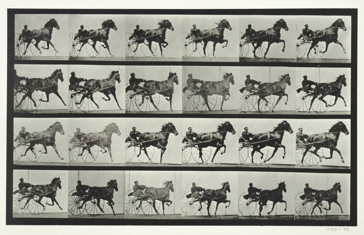 Powożenie powozem, tablica 613 z "Animal Locomotion", 1887 autorstwa Eadweard Muybridge