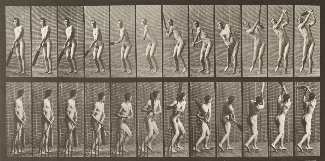 Świerszcz, tablica 291 z "Animal Locomotion", 1887 autorstwa Eadweard Muybridge