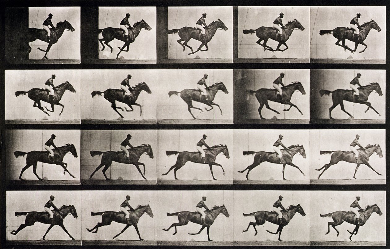 Dżokej na galopującym koniu, tablica 627 z „Animal Locomotion”, 1887 autorstwa Eadweard Muybridge