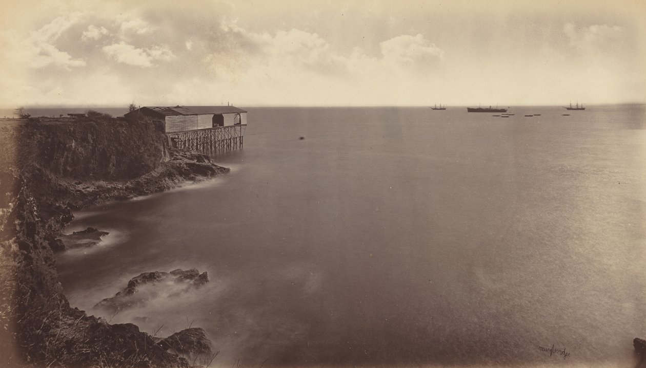 Akajutla, 1877. autorstwa Eadweard Muybridge
