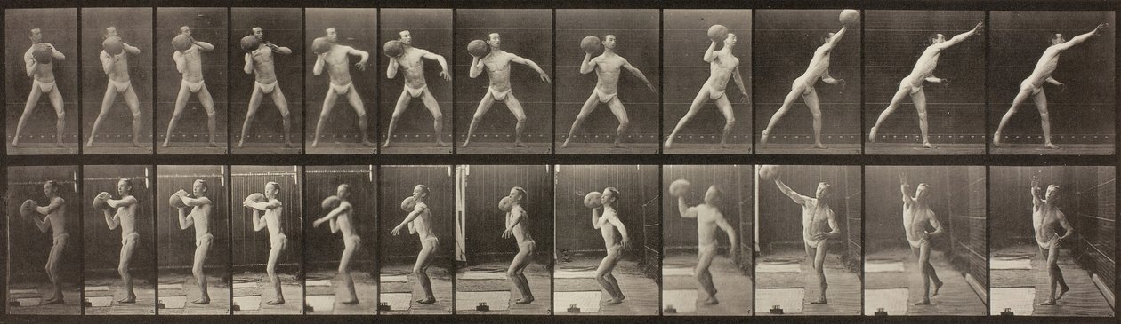 Lokomocja zwierząt, tablica 319, 1887. autorstwa Eadweard Muybridge
