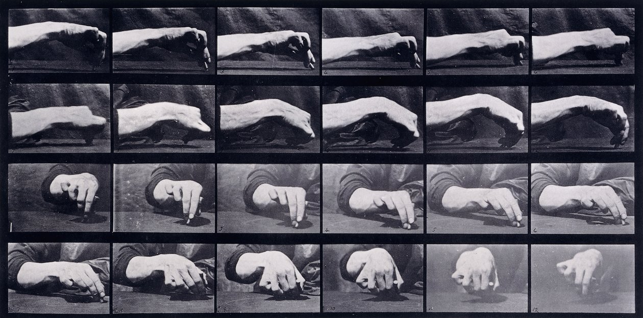 Studium ruchu ręki, ok. 1872-1885 autorstwa Eadweard Muybridge